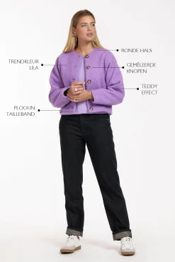 Fien cooked wool jacket - lila