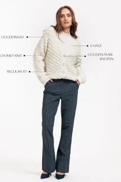 Iris chunky glitter cardigan - kit