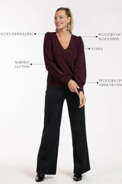 Sophie sparkle top - blackberry