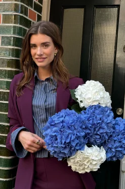 Violet bonded blazer - blackberry